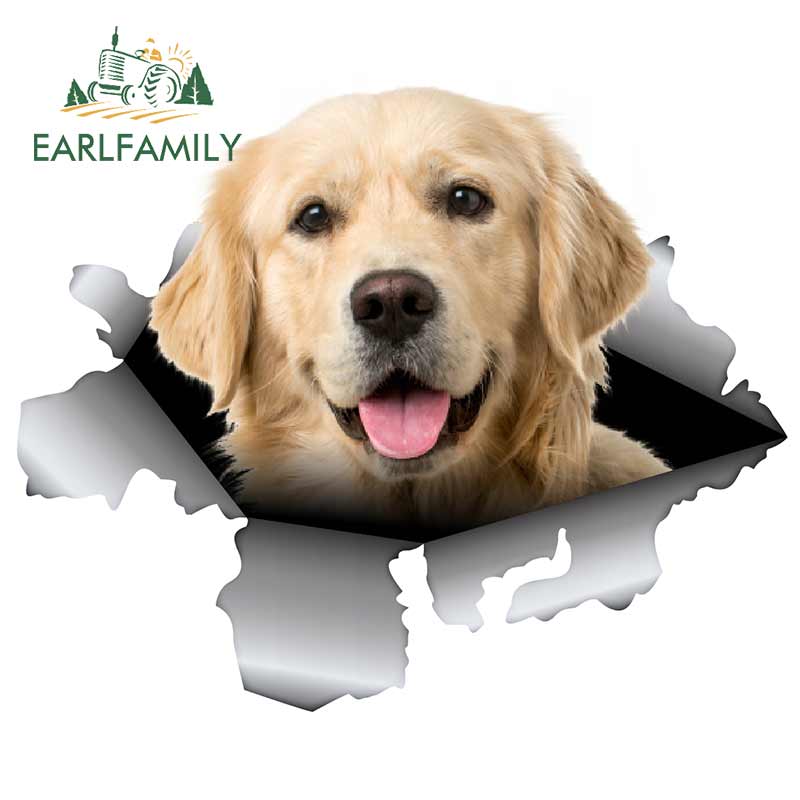 EARLFAMILY 13 см x 10,5 см для домашних собак, лабрадора-ретривера, граффити, автомобильные наклейки, водонепроницаемая наклейка, аниме, устойчивый к царапинам виниловый материал для JDM SUV RV
EARLFAMILY 13 см x 10,5 см для домашних собак, лабрадора-ретривера, граффити, автомобильные наклейки, водонепроницаемая наклейка, аниме, устойчивый к царапинам виниловый материал для JDM SUV RV