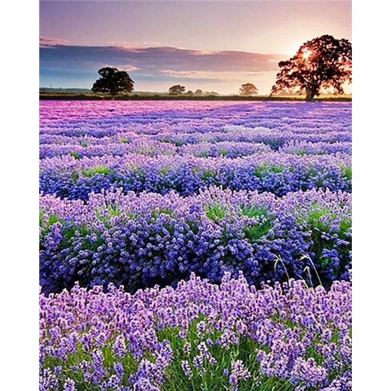 Новый 5D DIY алмазная живопись пейзаж Алмазная вышивка Лаванда вышивка крестиком полная круглая дрель ремесла домашний декор художественный подарок Full Round 15x20CM
Новый 5D DIY алмазная живопись пейзаж Алмазная вышивка Лаванда вышивка крестиком полная круглая дрель ремесла домашний декор художественный подарок Full Round 15x20CM