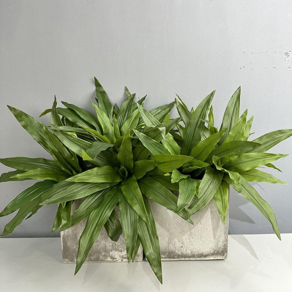Flexible Artificial Brazilian Beauty Tequila 15/20 Leaves Green Plants Leaves Home Bedroom Decor Style 7
Flexible Artificial Brazilian Beauty Tequila 15/20 Leaves Green Plants Leaves Home Bedroom Decor Style 7