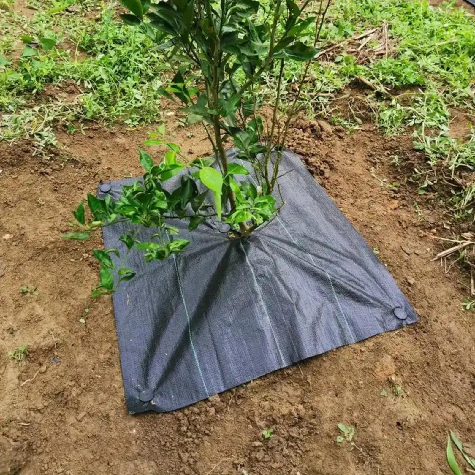 Барьерная сверхпрочная садовая ткань s Контроль Садовый коврик 60cm
Барьерная сверхпрочная садовая ткань s Контроль Садовый коврик 60cm