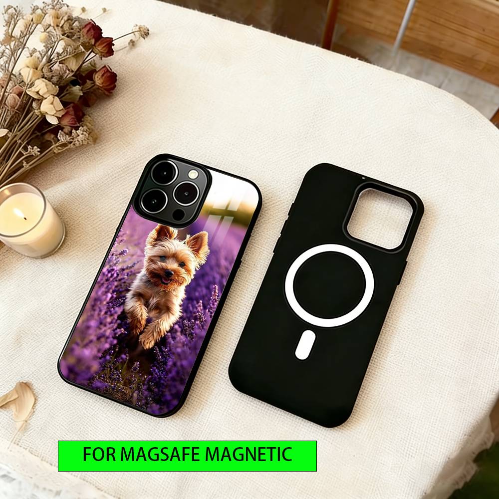 Yorkshire Terrier Dog Phone Case For iPhone17,16,15,14,13,12,11 Plus,Pro Magnetic For Magsafe Wireless Charging iPhone11
Yorkshire Terrier Dog Phone Case For iPhone17,16,15,14,13,12,11 Plus,Pro Magnetic For Magsafe Wireless Charging iPhone11