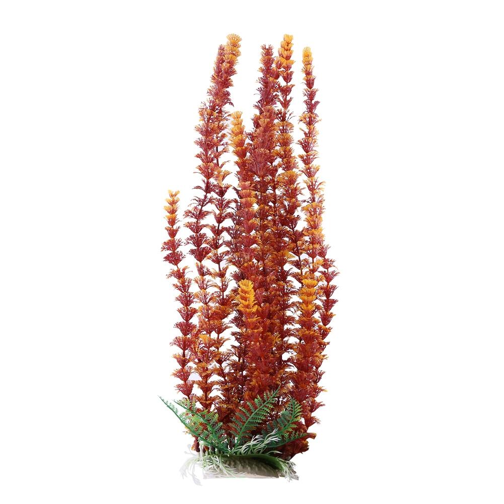 New Aquatic Plant Water Grass Vivid Artificial Aquarium Fish Tank Ornament Decoration (Orange)
New Aquatic Plant Water Grass Vivid Artificial Aquarium Fish Tank Ornament Decoration (Orange)