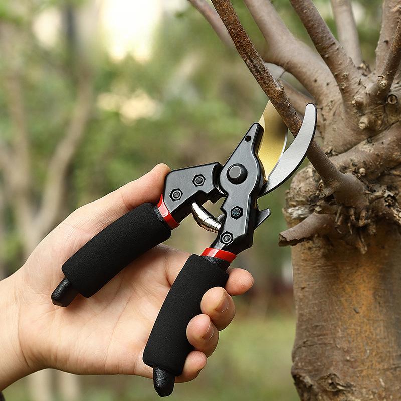 Gardening Scissors SK5 Fruit Tree Pruning Shears Garden Thick Branch Shears Floral Pruning Shears Fruit Picking Shears 1 PACK
Gardening Scissors SK5 Fruit Tree Pruning Shears Garden Thick Branch Shears Floral Pruning Shears Fruit Picking Shears 1 PACK