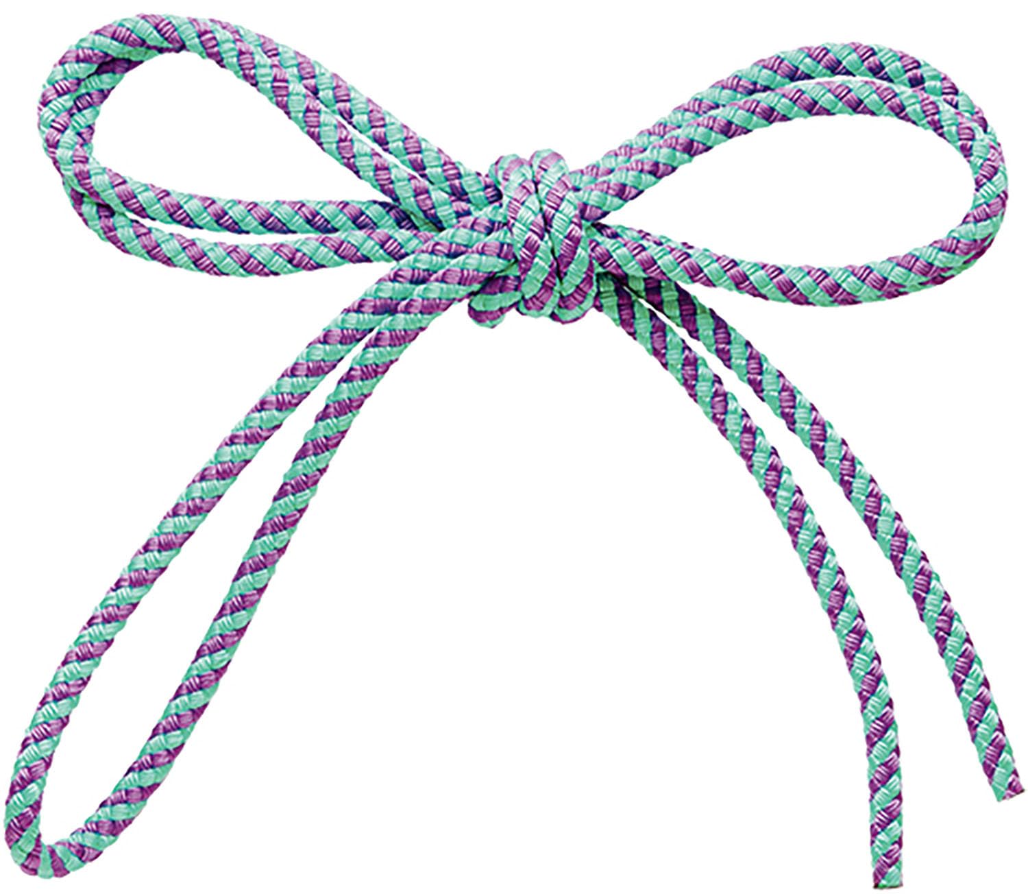 SASAKI Gymnastics Equipment Junior Spiral Rope Ice Mint x Violet MJ243
SASAKI Gymnastics Equipment Junior Spiral Rope Ice Mint x Violet MJ243