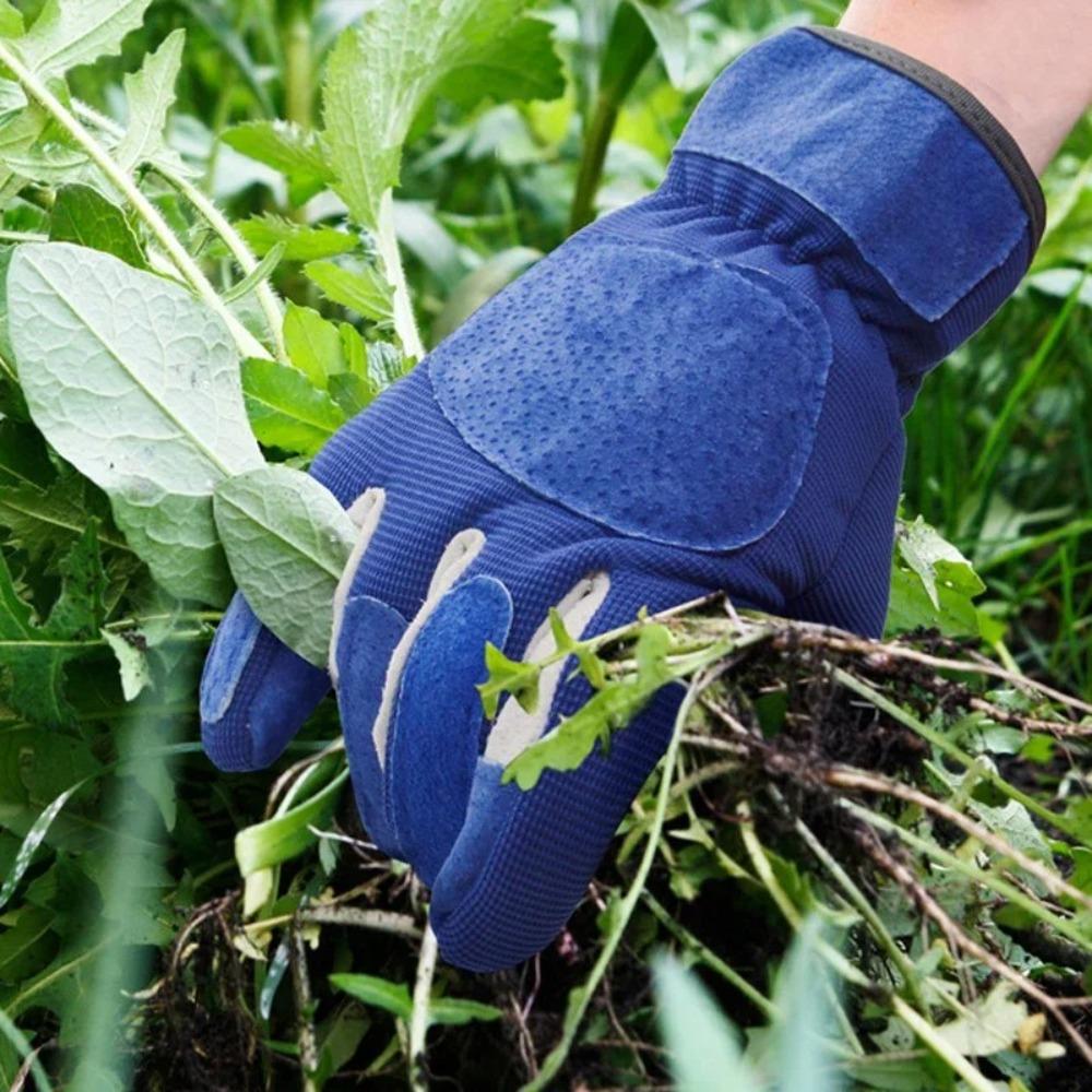 Thorn Proof Gardening Gloves Breathable Thorn Proof Gloves Durable Gauntlets Digging S червоний
Thorn Proof Gardening Gloves Breathable Thorn Proof Gloves Durable Gauntlets Digging S червоний