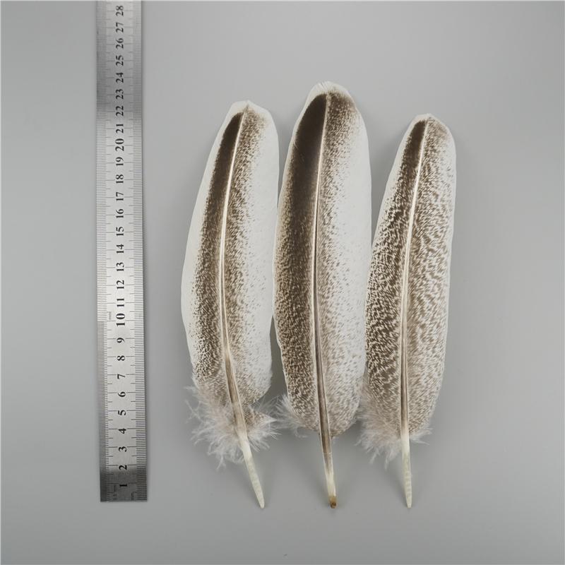 Перья индейки 20-25 см/8-10 дюймов Натуральное орлиное перо Аксессуары для рукоделия Праздничное украшение DIY Настольные центральные элементы 10Pcs
Перья индейки 20-25 см/8-10 дюймов Натуральное орлиное перо Аксессуары для рукоделия Праздничное украшение DIY Настольные центральные элементы 10Pcs