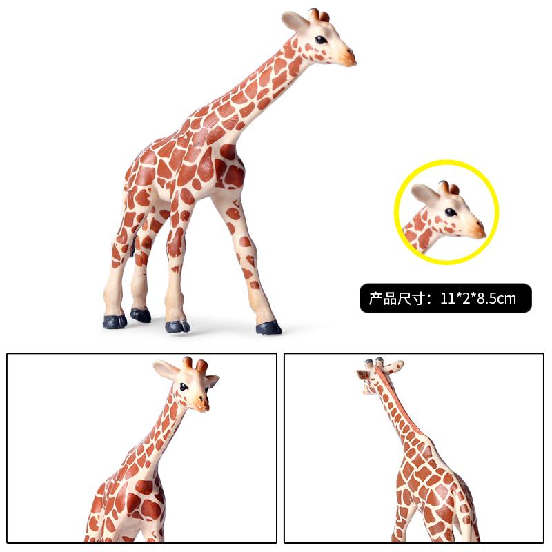 Oenux Зоопарк Африка Дикое животное Жираф Модель-симуляция Фигурки ПВХ Обучающая Милая игрушка для детей
Oenux Зоопарк Африка Дикое животное Жираф Модель-симуляция Фигурки ПВХ Обучающая Милая игрушка для детей
