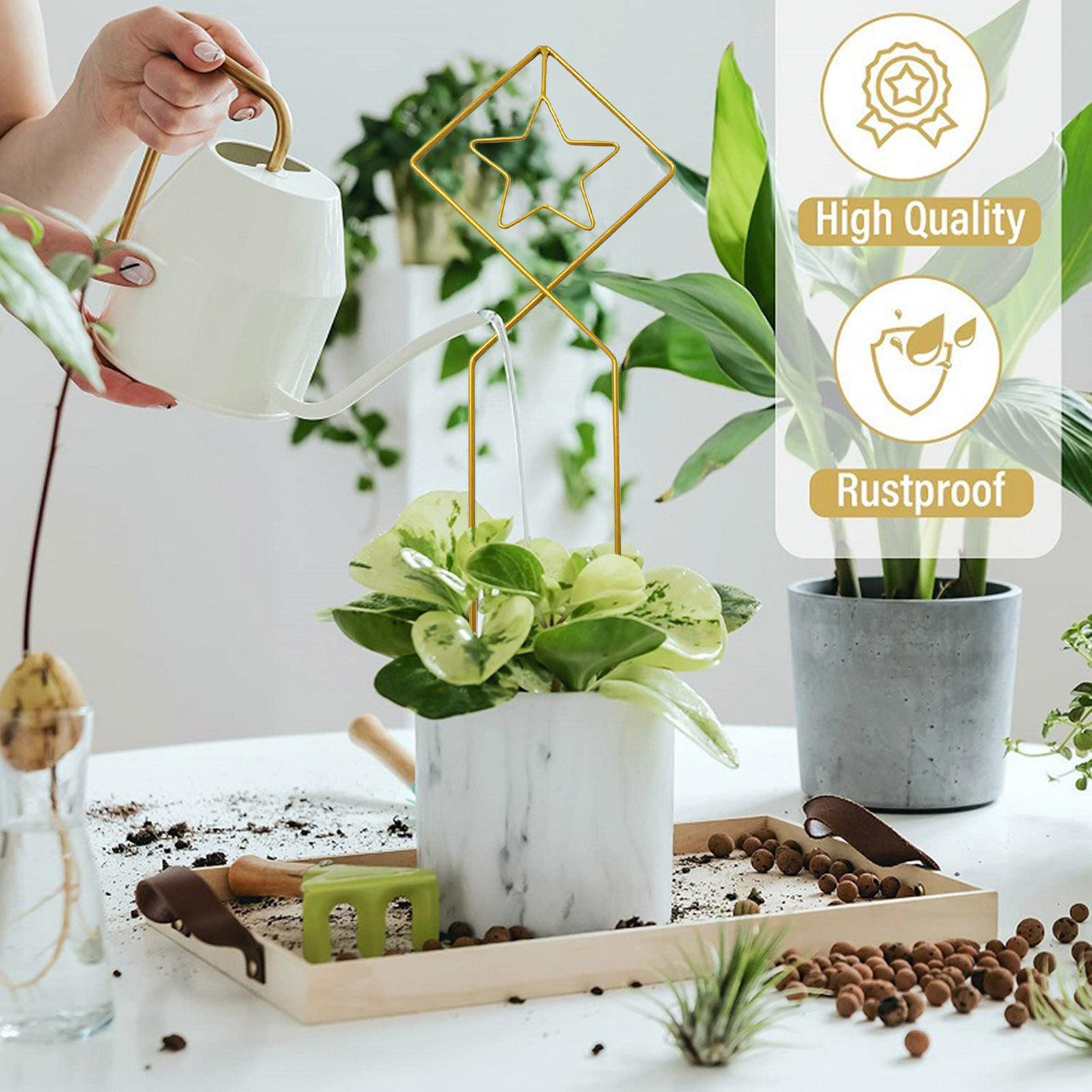 Trellis For Climbing Plants Indoor Garden Iron Plant Support Durable Iron Plant Stakes For Pothos Monstera Philodendron And
Trellis For Climbing Plants Indoor Garden Iron Plant Support Durable Iron Plant Stakes For Pothos Monstera Philodendron And