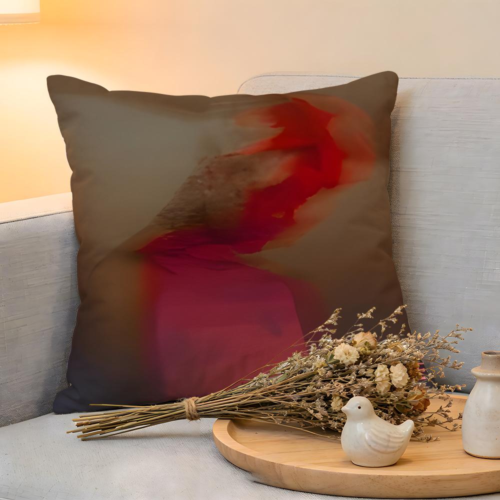 Cushion Cover Linen SkinFriendly Soft Decorative Case for Sofa Home Decor Hip Hop Music Rapper LLil PPeep Pillow cover 30x30cm
Cushion Cover Linen SkinFriendly Soft Decorative Case for Sofa Home Decor Hip Hop Music Rapper LLil PPeep Pillow cover 30x30cm