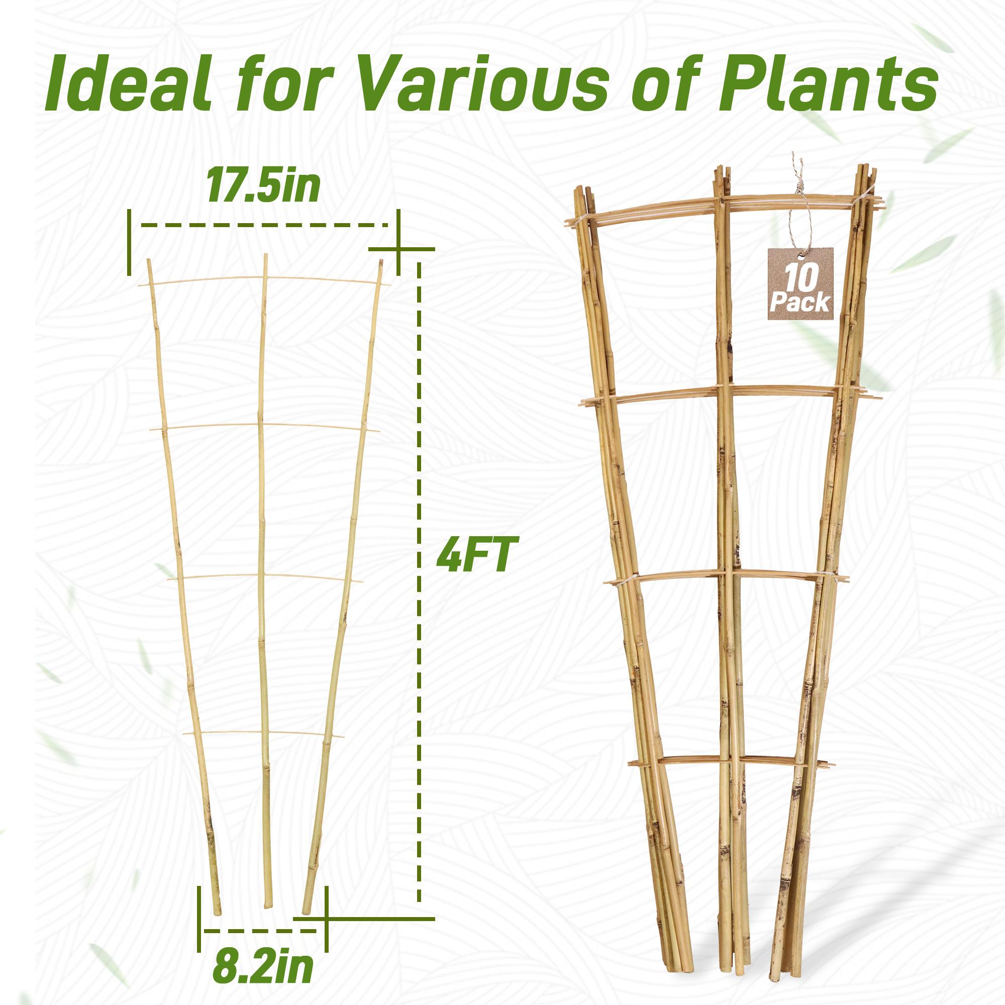 10pcs 4FT Bamboo Trellis For Climbing Plants,Fan-Shaped Plant Support Trellis For Houseplants Ivy Hoya Vine Monstera United States
10pcs 4FT Bamboo Trellis For Climbing Plants,Fan-Shaped Plant Support Trellis For Houseplants Ivy Hoya Vine Monstera United States