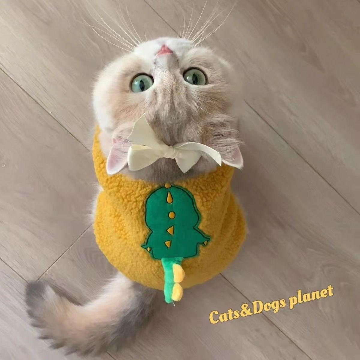 Warm Velvet Pet Vest for Small/Medium Dogs & Cats - Autumn/Winter M (Recommended Weight 5-8 lbs)
Warm Velvet Pet Vest for Small/Medium Dogs & Cats - Autumn/Winter M (Recommended Weight 5-8 lbs)
