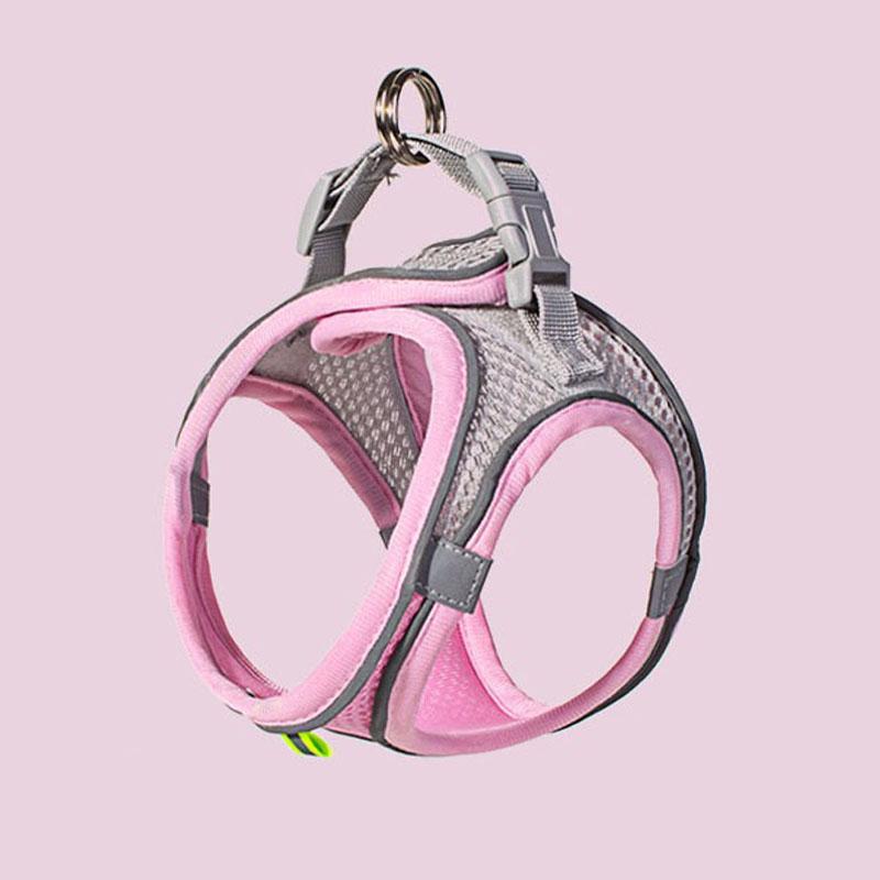 Pet Cat Dog Harness Vest Chest Rope Set Reflective Breathable Adjustable Pets Harness Kitten Collar for Small Medium Dogs Cats XS(old)
Pet Cat Dog Harness Vest Chest Rope Set Reflective Breathable Adjustable Pets Harness Kitten Collar for Small Medium Dogs Cats XS(old)