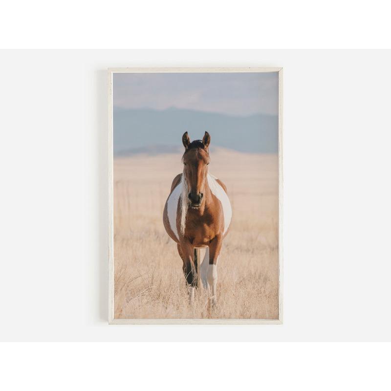 Настенное искусство дикой природы Западная кантри рустикальный принт Бык бизон лось ковбой лошадь Йеллоустон бизон холст живопись домашний декор 21cm×30cm NoFrame
Настенное искусство дикой природы Западная кантри рустикальный принт Бык бизон лось ковбой лошадь Йеллоустон бизон холст живопись домашний декор 21cm×30cm NoFrame