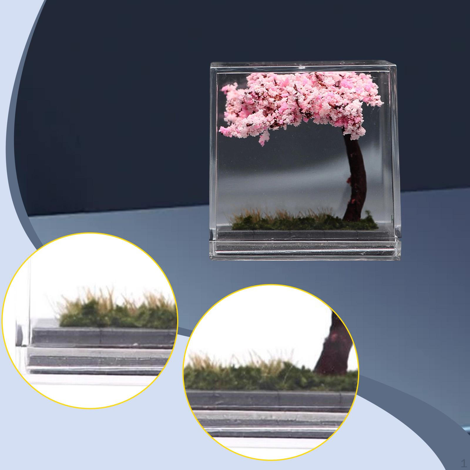 Display Case Diorama Micro Landscape Organizer Dustproof Box with PP Material Suitable for Cherry Blossoms
Display Case Diorama Micro Landscape Organizer Dustproof Box with PP Material Suitable for Cherry Blossoms