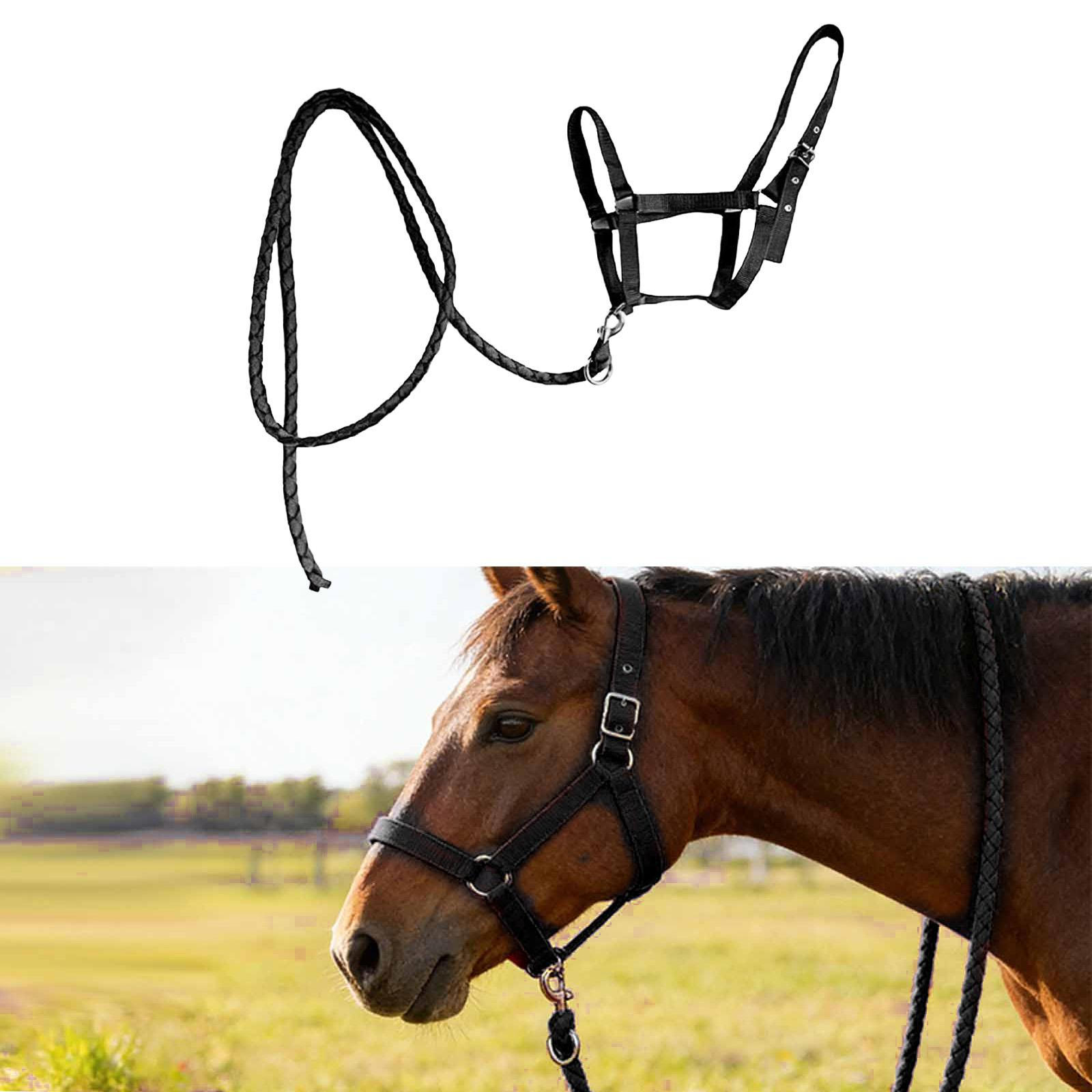 Halter Rope with Reins, Horse Harness, Bridle, Equestrian Equipment for Owners And Racetrack чорний
Halter Rope with Reins, Horse Harness, Bridle, Equestrian Equipment for Owners And Racetrack чорний