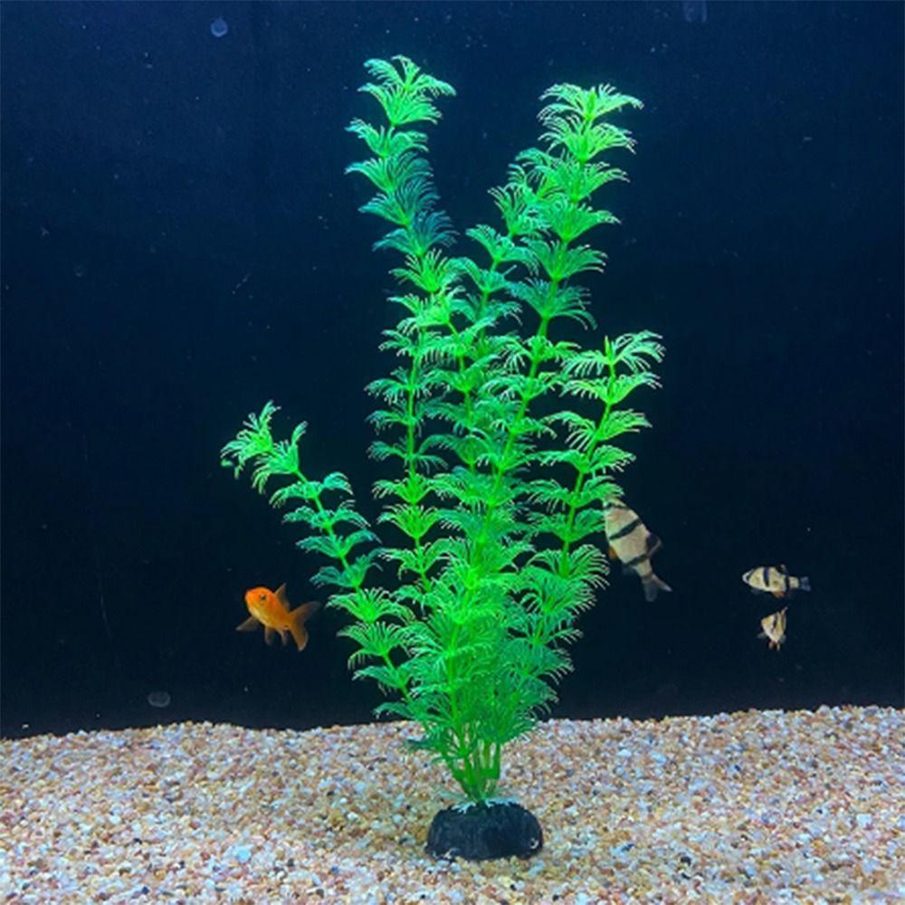 Lifelike Green Immortal Simulated Beautiful Artificial Plants Underwater Plants Seaweed Water Grass зелений
Lifelike Green Immortal Simulated Beautiful Artificial Plants Underwater Plants Seaweed Water Grass зелений