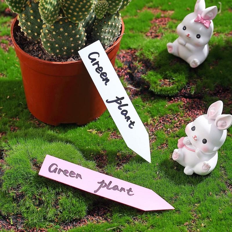20 Pcs Plastic Plant Labels Gardening Flower Labels Plant Succulent Classification Labels Pvc Plant Flower Plugs Landmark
20 Pcs Plastic Plant Labels Gardening Flower Labels Plant Succulent Classification Labels Pvc Plant Flower Plugs Landmark