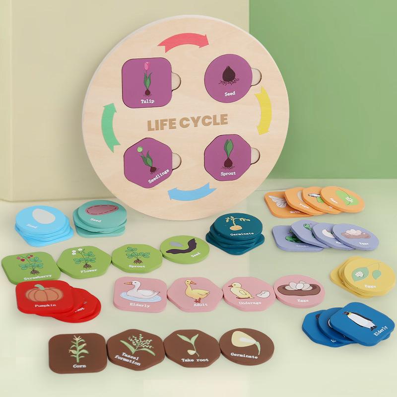 Children s Animal And Plant Growth Cycle Process Cognitive Baby Color Classification Matching Educational Toys різнокольоровий
Children s Animal And Plant Growth Cycle Process Cognitive Baby Color Classification Matching Educational Toys різнокольоровий