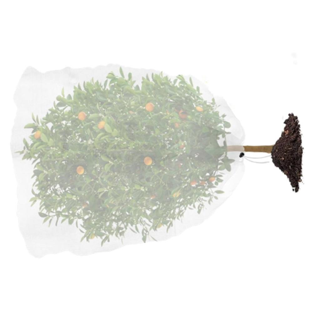 Zipper drawstring mesh plant cover for safeguarding various garden plants including fruit trees and vegetable patches 3x4m
Zipper drawstring mesh plant cover for safeguarding various garden plants including fruit trees and vegetable patches 3x4m