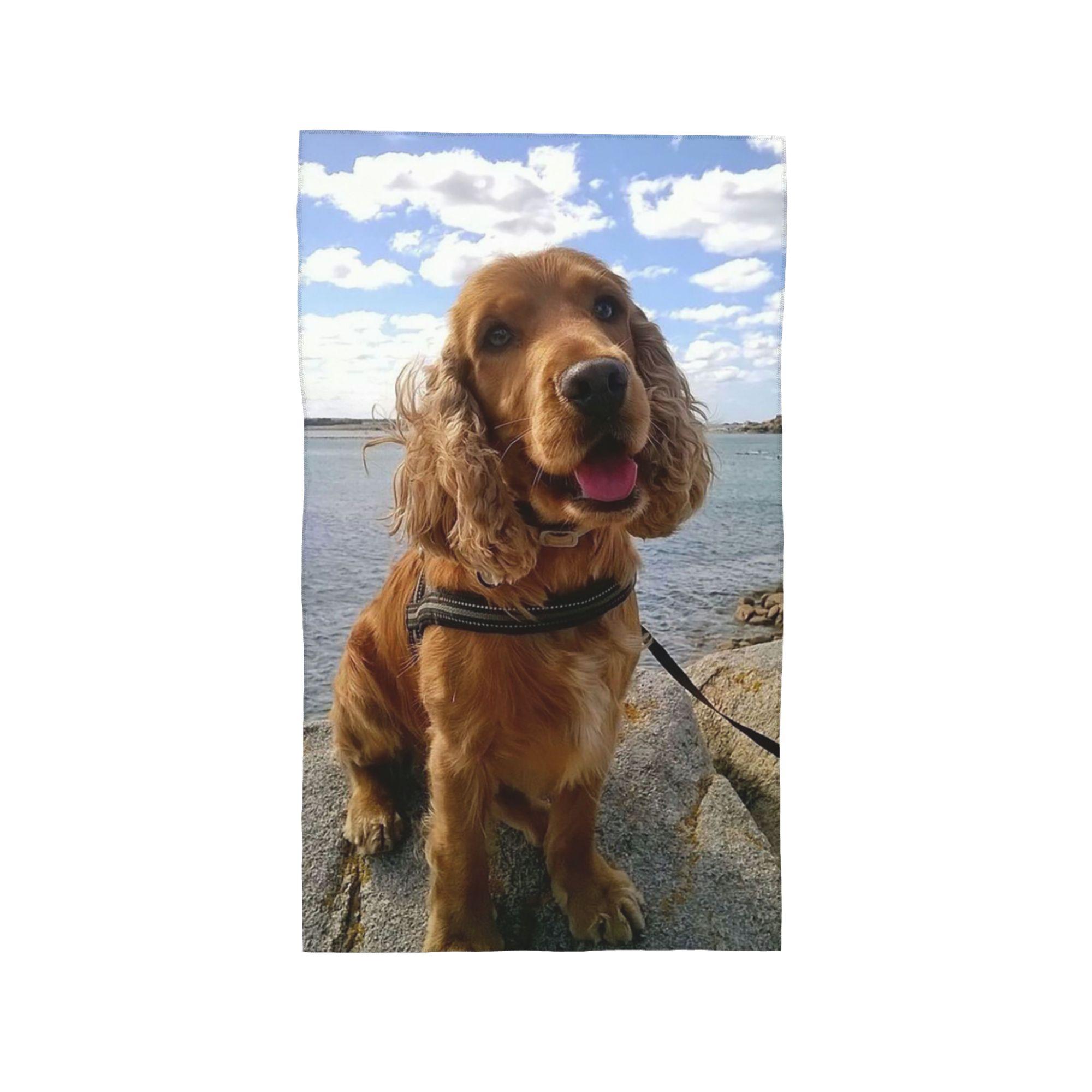 Funny Cool Cocker Spaniel Dog Animal Soft Face Towel Quick Dry Pool Bath Cotton Towels Breathable W30*H60(CM)
Funny Cool Cocker Spaniel Dog Animal Soft Face Towel Quick Dry Pool Bath Cotton Towels Breathable W30*H60(CM)