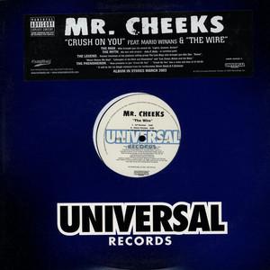 12inch Record MR. CHEEKS - Crush On You / The Wire B000044811 Universal Recor 2003 US Rap & Hip-Hop/R&B Used
12inch Record MR. CHEEKS - Crush On You / The Wire B000044811 Universal Recor 2003 US Rap & Hip-Hop/R&B Used