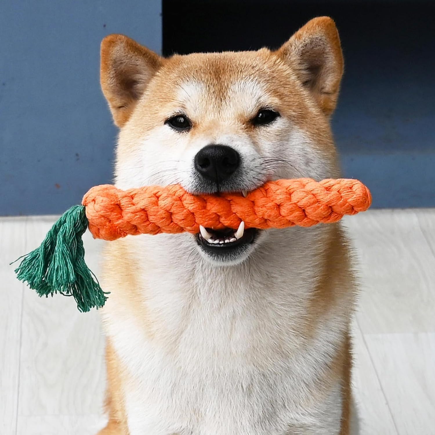 1 шт. Pet Puppy Kitten Chew Toys, бавовняні іграшки у формі моркви, чисті зуби, здорові зуби, веселі іграшки для жування 1pc морква помаранчевий колір
1 шт. Pet Puppy Kitten Chew Toys, бавовняні іграшки у формі моркви, чисті зуби, здорові зуби, веселі іграшки для жування 1pc морква помаранчевий колір