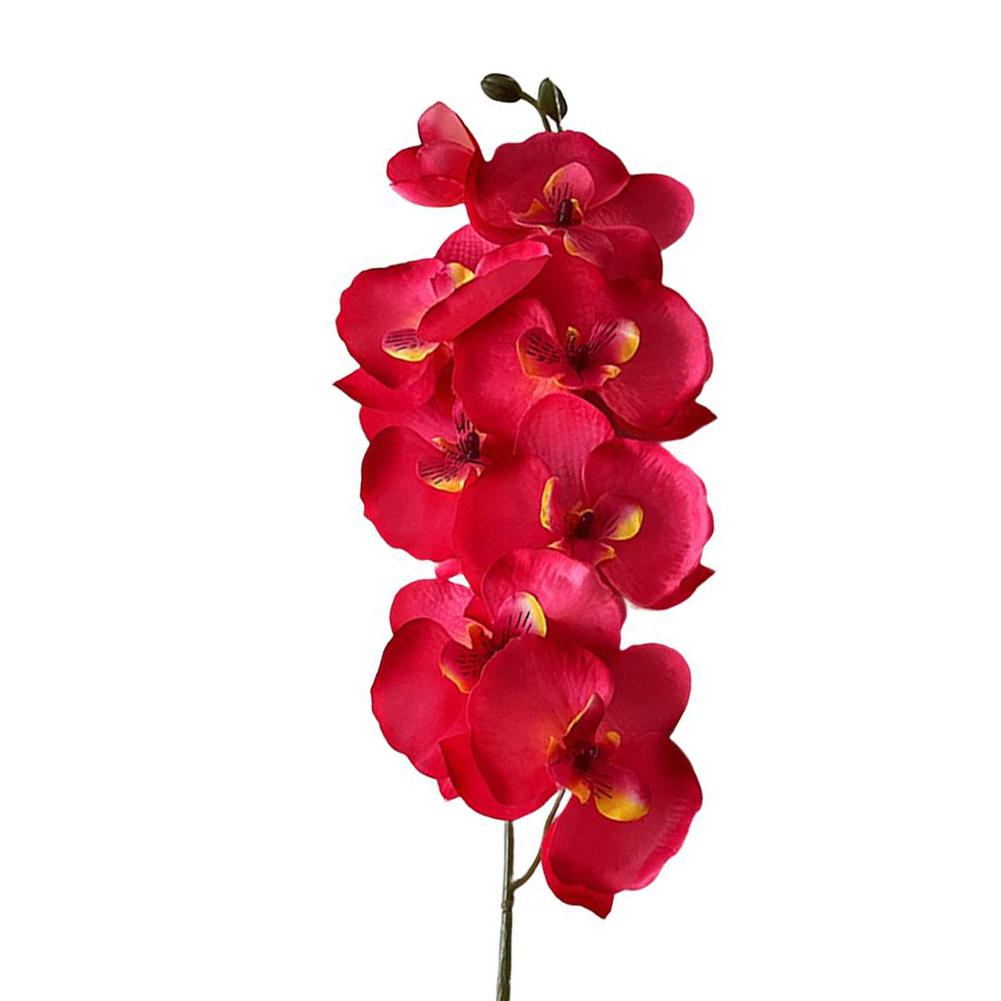 70*5*5cm Home Decoration Long-lasting Materials No Maintenance Required Realistic Design Vibrant Color Combination рожевий червоний колір
70*5*5cm Home Decoration Long-lasting Materials No Maintenance Required Realistic Design Vibrant Color Combination рожевий червоний колір