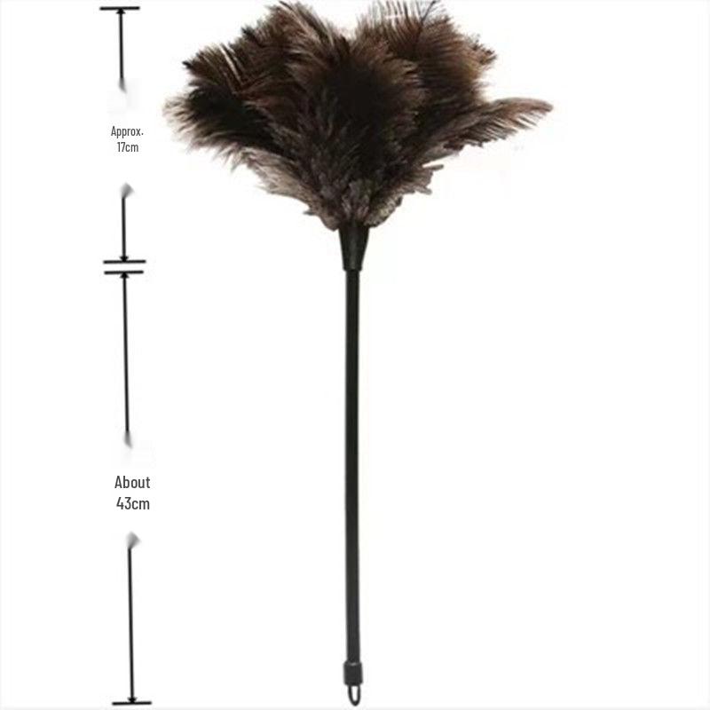 Ostrich Feather Duster with Solid Wood Handle - Superior Cleaning & Dusting Tool
Ostrich Feather Duster with Solid Wood Handle - Superior Cleaning & Dusting Tool