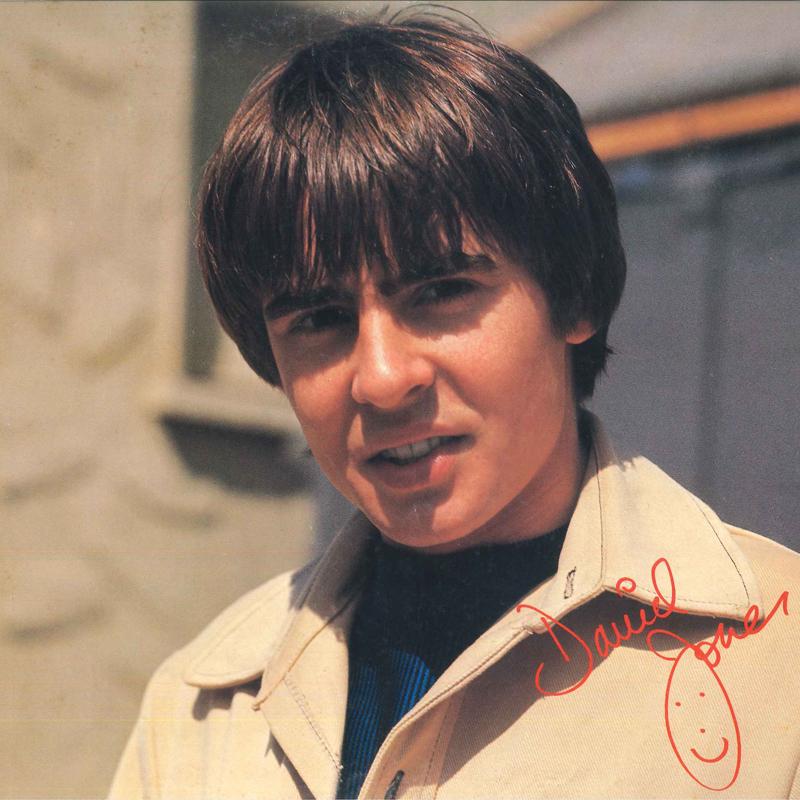 LP Record DAVY JONES (THE MONKEES) - Davy Jones 20RS20 ARISTA 1971 Japan Obi Pop Used
LP Record DAVY JONES (THE MONKEES) - Davy Jones 20RS20 ARISTA 1971 Japan Obi Pop Used