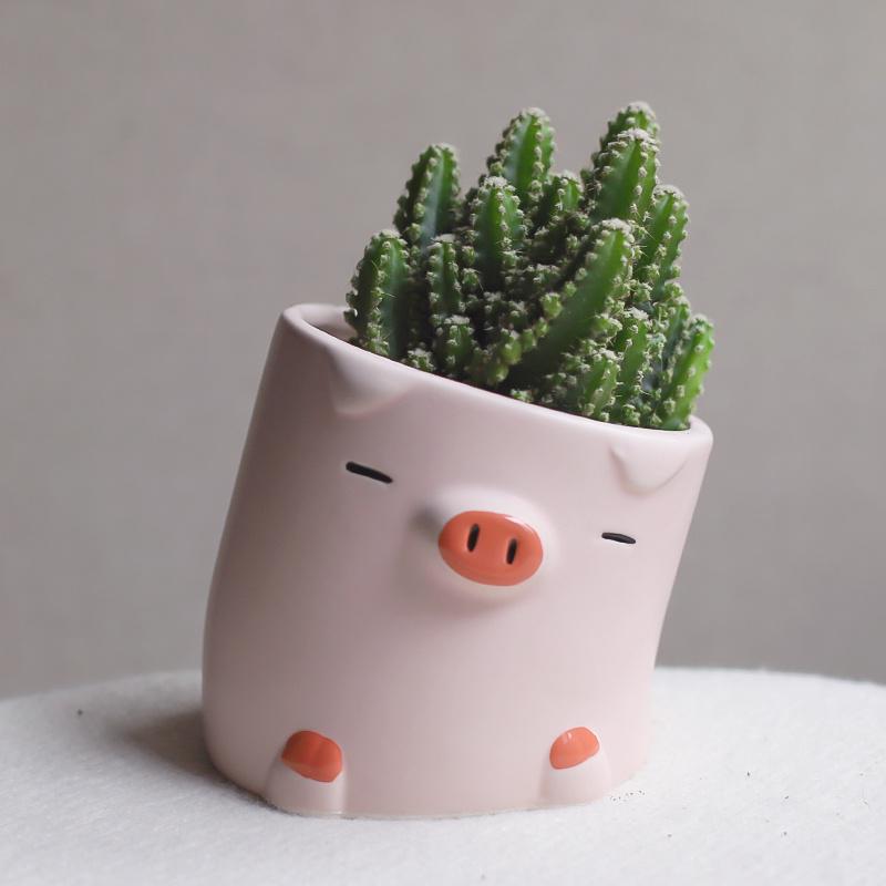 Cute Cartoon Duck Pig Ceramic Flower Pot Desktop Balcony Succulent Planting Animal Flowerpot Green Planters Small Bonsai Pots
Cute Cartoon Duck Pig Ceramic Flower Pot Desktop Balcony Succulent Planting Animal Flowerpot Green Planters Small Bonsai Pots
