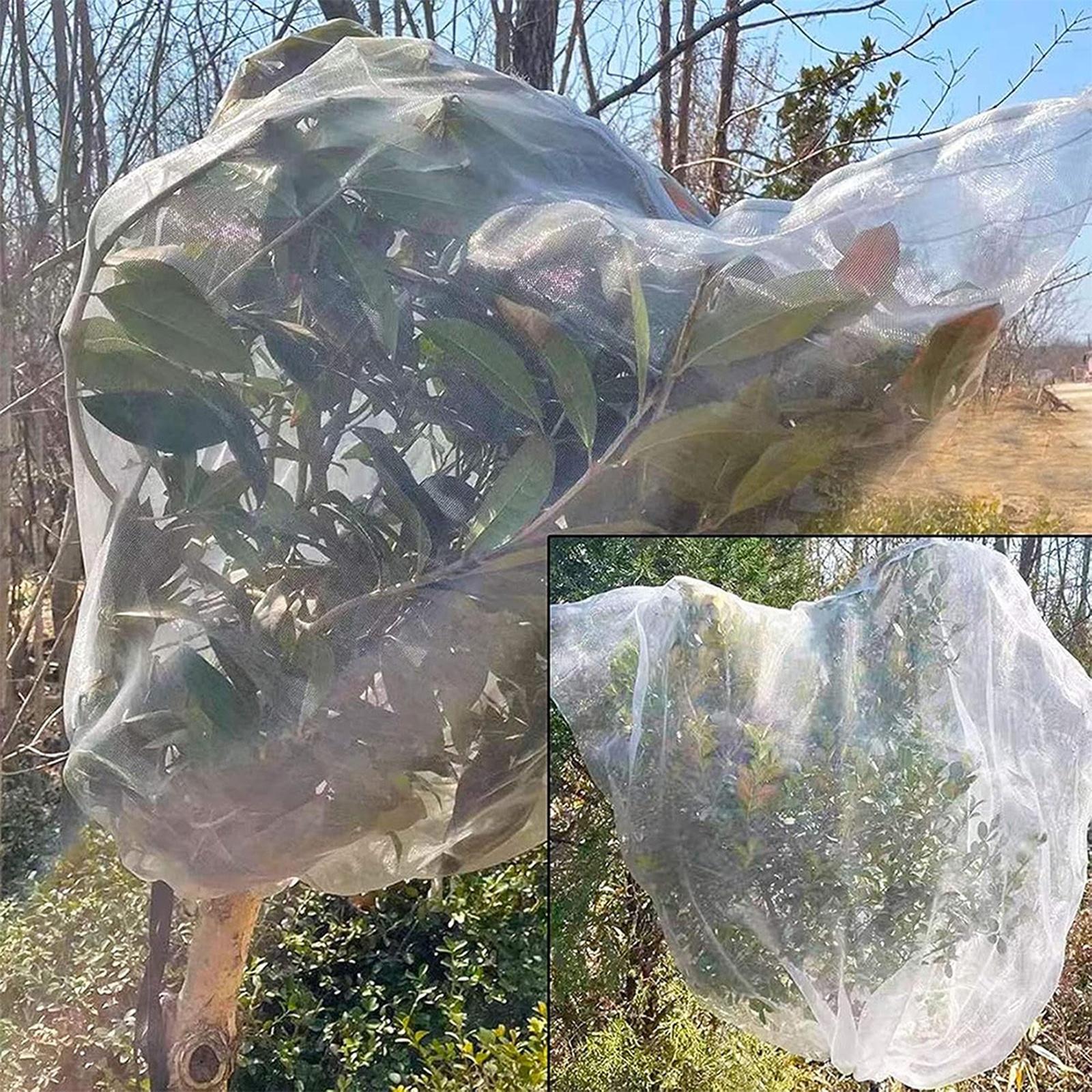 Net Bag Protective Versatile Polyester Drawstring Design Tree Netting Mesh For Farm One Size білий
Net Bag Protective Versatile Polyester Drawstring Design Tree Netting Mesh For Farm One Size білий