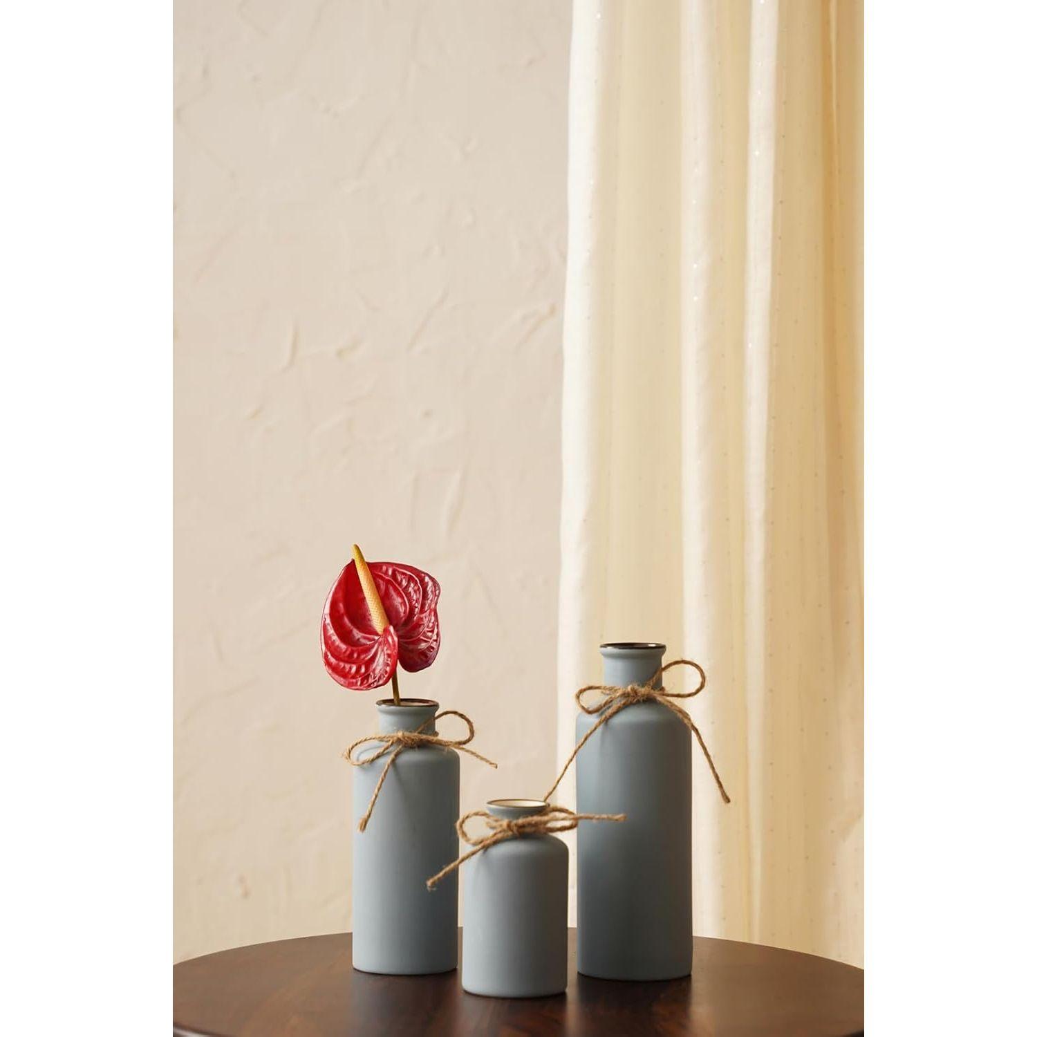 Vintage Roman Bottle Vase 3Pcs Ceramic Vases, Rustic Beautiful Decorative Flower Vases Set for Modern Farmhouse Decoration, Living Room, Table
Vintage Roman Bottle Vase 3Pcs Ceramic Vases, Rustic Beautiful Decorative Flower Vases Set for Modern Farmhouse Decoration, Living Room, Table