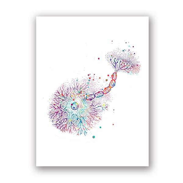 Нейрон акварель Нейронаука неврология настенный художественный плакат с принтом анатомии мозга медицина холст картина синапс клиника декор комнаты 21X30cm No Frame
Нейрон акварель Нейронаука неврология настенный художественный плакат с принтом анатомии мозга медицина холст картина синапс клиника декор комнаты 21X30cm No Frame