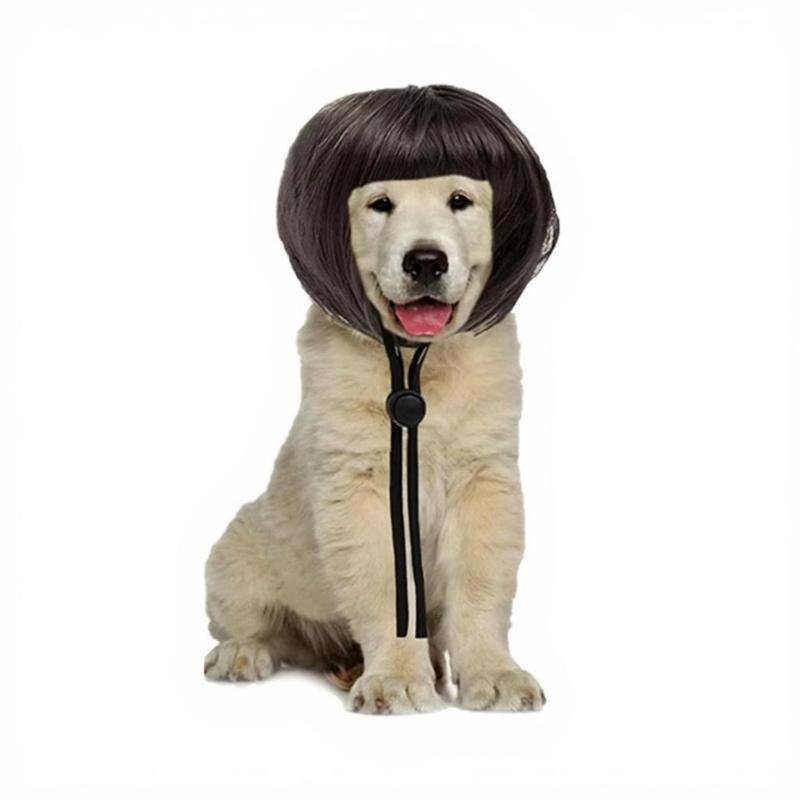 Funny Cats Dogs Bob Bangs Wigs Costume Dog Wigs Hair Halloween Party Hat Headwear for Halloween/Christmas Present
Funny Cats Dogs Bob Bangs Wigs Costume Dog Wigs Hair Halloween Party Hat Headwear for Halloween/Christmas Present