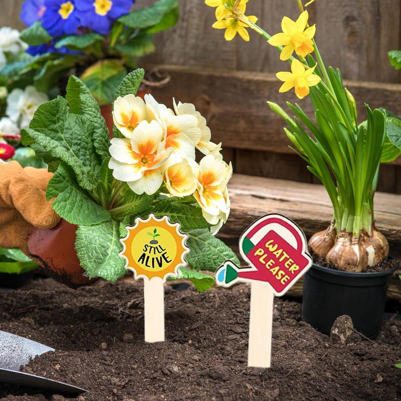 Funny Plant Stakes Set of 15 Plant Labels for Indoor Decorative Waterproof Flower Pot Tags Gardening Signs Succulent Stakes for China Mainland
Funny Plant Stakes Set of 15 Plant Labels for Indoor Decorative Waterproof Flower Pot Tags Gardening Signs Succulent Stakes for China Mainland