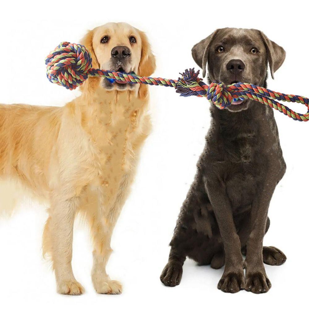 Bite Resistant Dog Cotton Rope Toys Random Color Dog Bite Rope Toys Teeth Cleanning random color
Bite Resistant Dog Cotton Rope Toys Random Color Dog Bite Rope Toys Teeth Cleanning random color