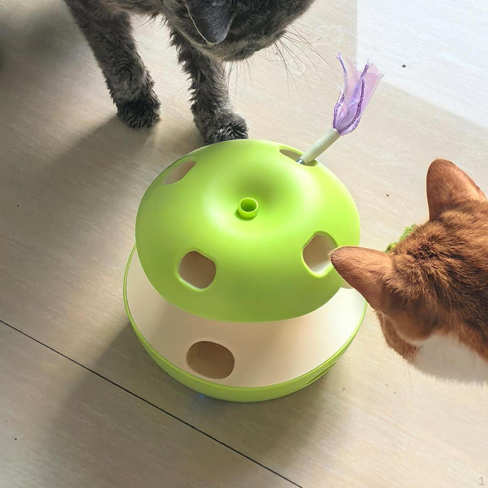 Интерактивная игрушка для кошек, автоматические подарки 5 В для домашних кошек, интеллектуальная, простая в использовании, электронная отбивающая зелёный
Интерактивная игрушка для кошек, автоматические подарки 5 В для домашних кошек, интеллектуальная, простая в использовании, электронная отбивающая зелёный