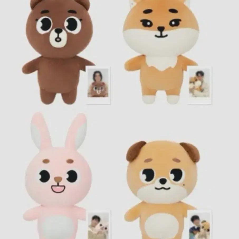 Совершенно новый Day6 Denimals Гигантский Пилки Вонпил со всеми компонентами
Совершенно новый Day6 Denimals Гигантский Пилки Вонпил со всеми компонентами