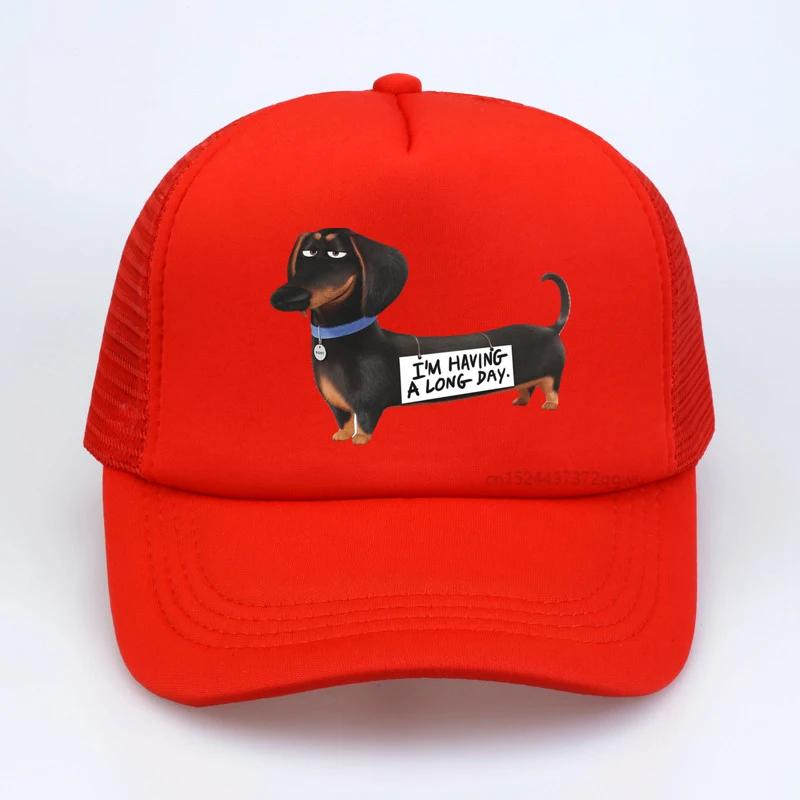 Персонализированная хлопковая бейсболка Kawaii для таксы для женщин унисекс, регулируемая колбаса, барсук, шапка для папы, собаки, спортивные сетчатые шапки Adjustable
Персонализированная хлопковая бейсболка Kawaii для таксы для женщин унисекс, регулируемая колбаса, барсук, шапка для папы, собаки, спортивные сетчатые шапки Adjustable