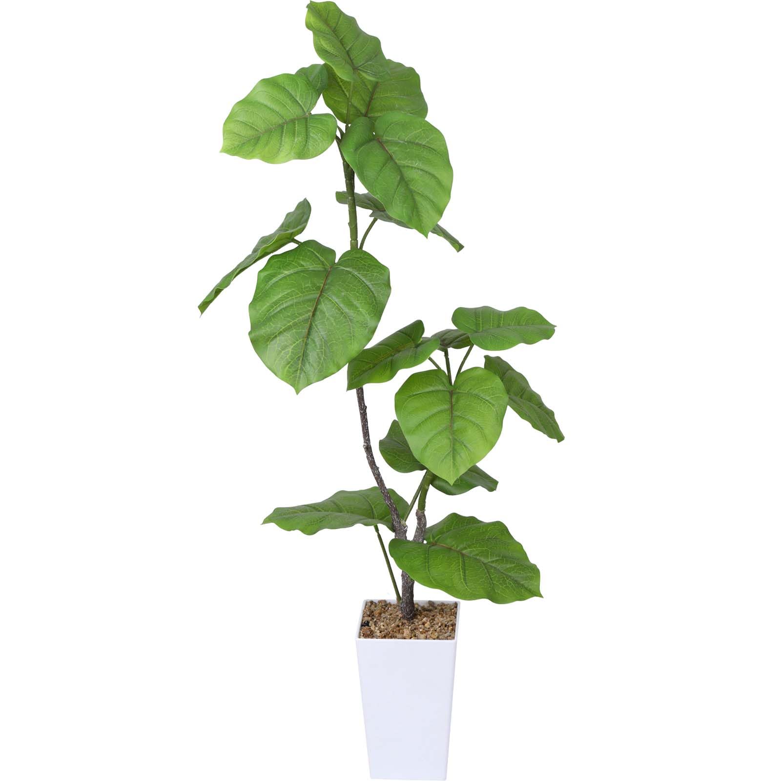 Поддельный искусственный горшечный горшечный искусственный легкий в уходе интерьерная зелень, растение, 100 см, дерево, цветок, фотокатализатор, дезодорирующий, для, офиса, в помещении, зелёный
Поддельный искусственный горшечный горшечный искусственный легкий в уходе интерьерная зелень, растение, 100 см, дерево, цветок, фотокатализатор, дезодорирующий, для, офиса, в помещении, зелёный