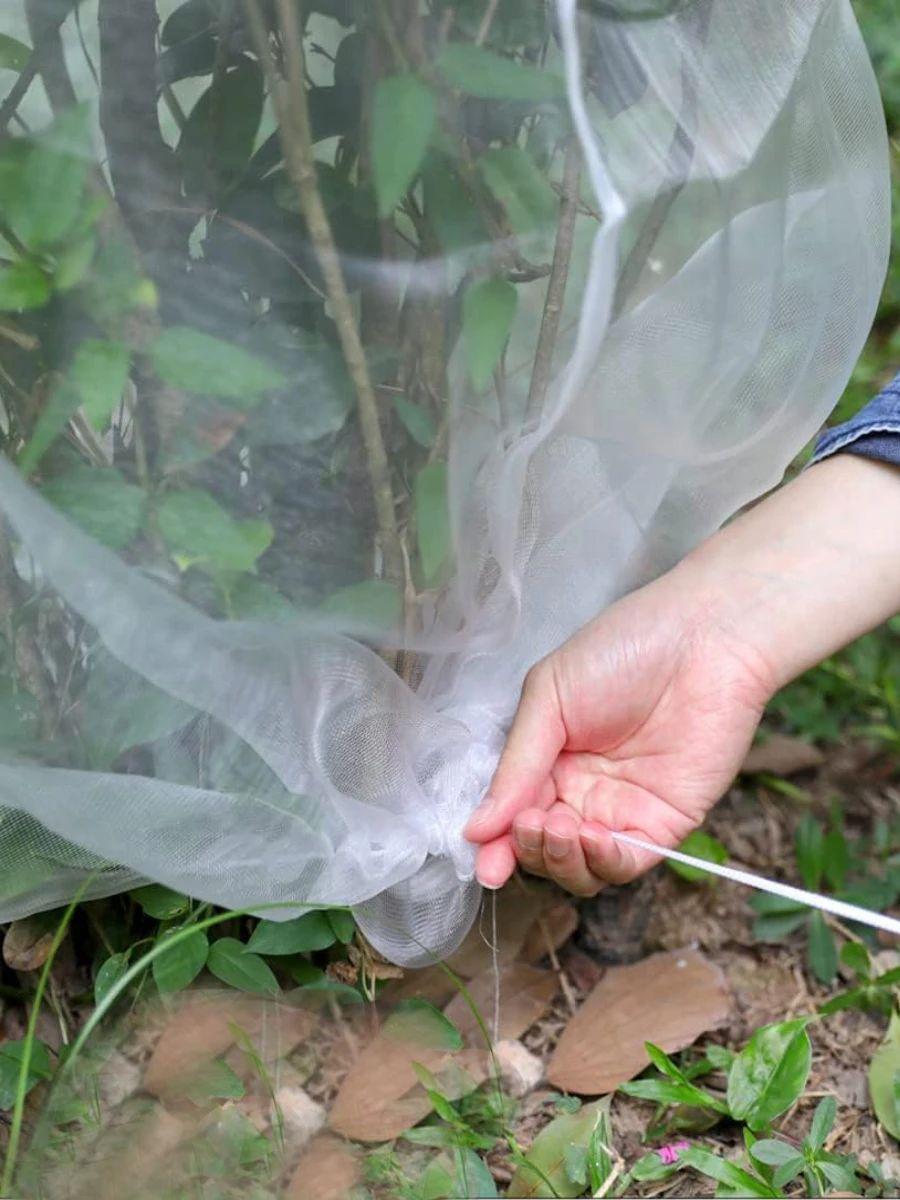 26 in. x 30 in. Garden Insect Netting Plant Cover in-Shape Bag with Rope Insect Barrier M белый
26 in. x 30 in. Garden Insect Netting Plant Cover in-Shape Bag with Rope Insect Barrier M белый