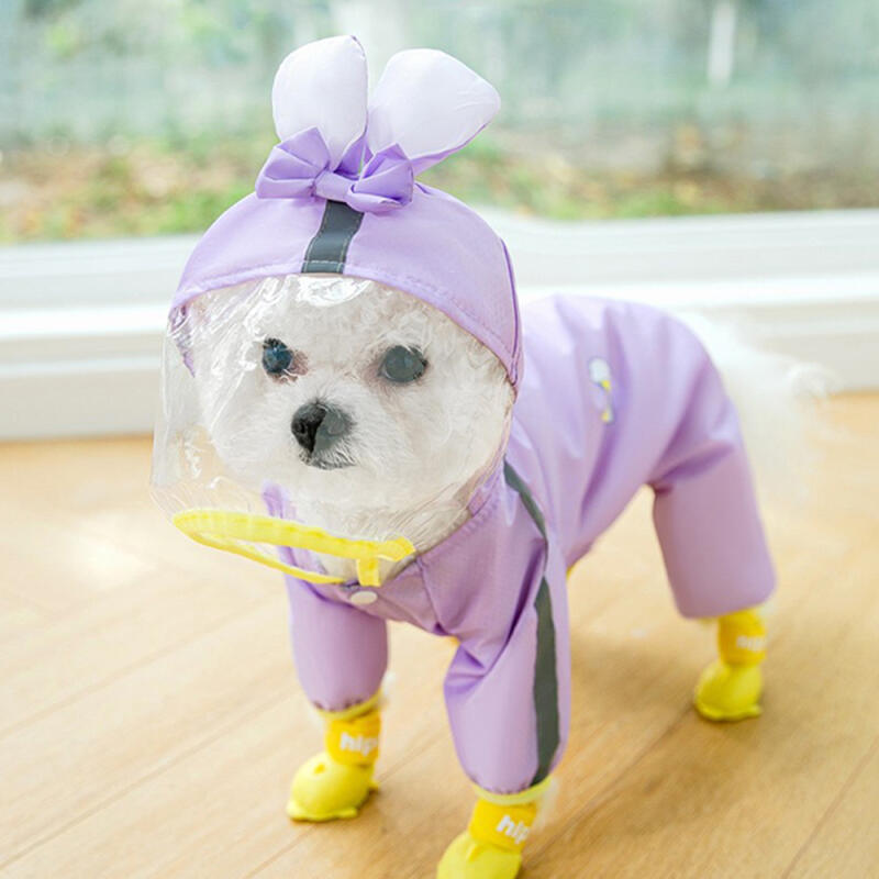 All-in-one raincoat for small dogs Blue
All-in-one raincoat for small dogs Blue