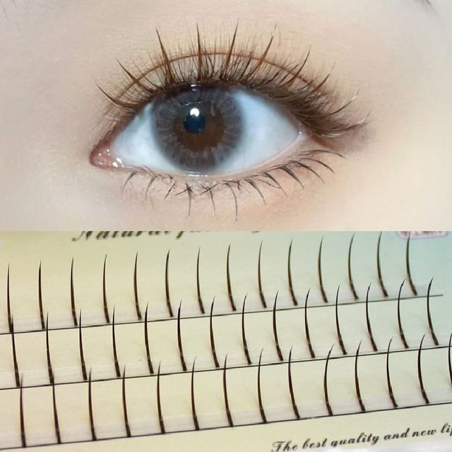 LuxeFlutter - Spiky Multipack Individual False Eyelashes (Various Designs) 1.2cm
LuxeFlutter - Spiky Multipack Individual False Eyelashes (Various Designs) 1.2cm