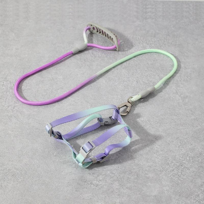 Pet Nylon Leash With Lockable Buckle For Small Dogs And Cats Outdoor Walking Wide 0.8cm
Pet Nylon Leash With Lockable Buckle For Small Dogs And Cats Outdoor Walking Wide 0.8cm