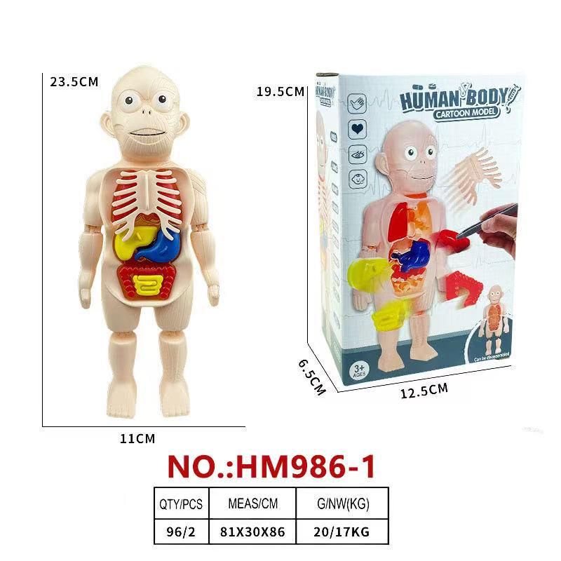 Детская модель человеческого тела для сборки - Образовательный инструмент STEAM для раннего изучения науки
Детская модель человеческого тела для сборки - Образовательный инструмент STEAM для раннего изучения науки