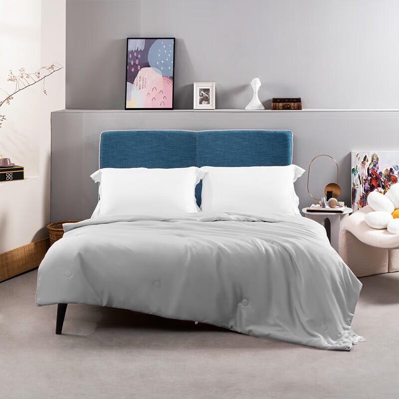 Mercure Home Textiles DH Lyocell Silk Summer Quilt
Mercure Home Textiles DH Lyocell Silk Summer Quilt