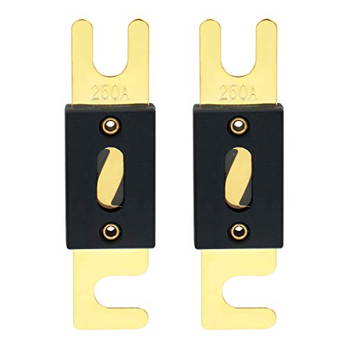 Heschen Car ANL Fuse 250A Automotive Motorcycle Audio Subwoofer Supplies Pack of 2
Heschen Car ANL Fuse 250A Automotive Motorcycle Audio Subwoofer Supplies Pack of 2