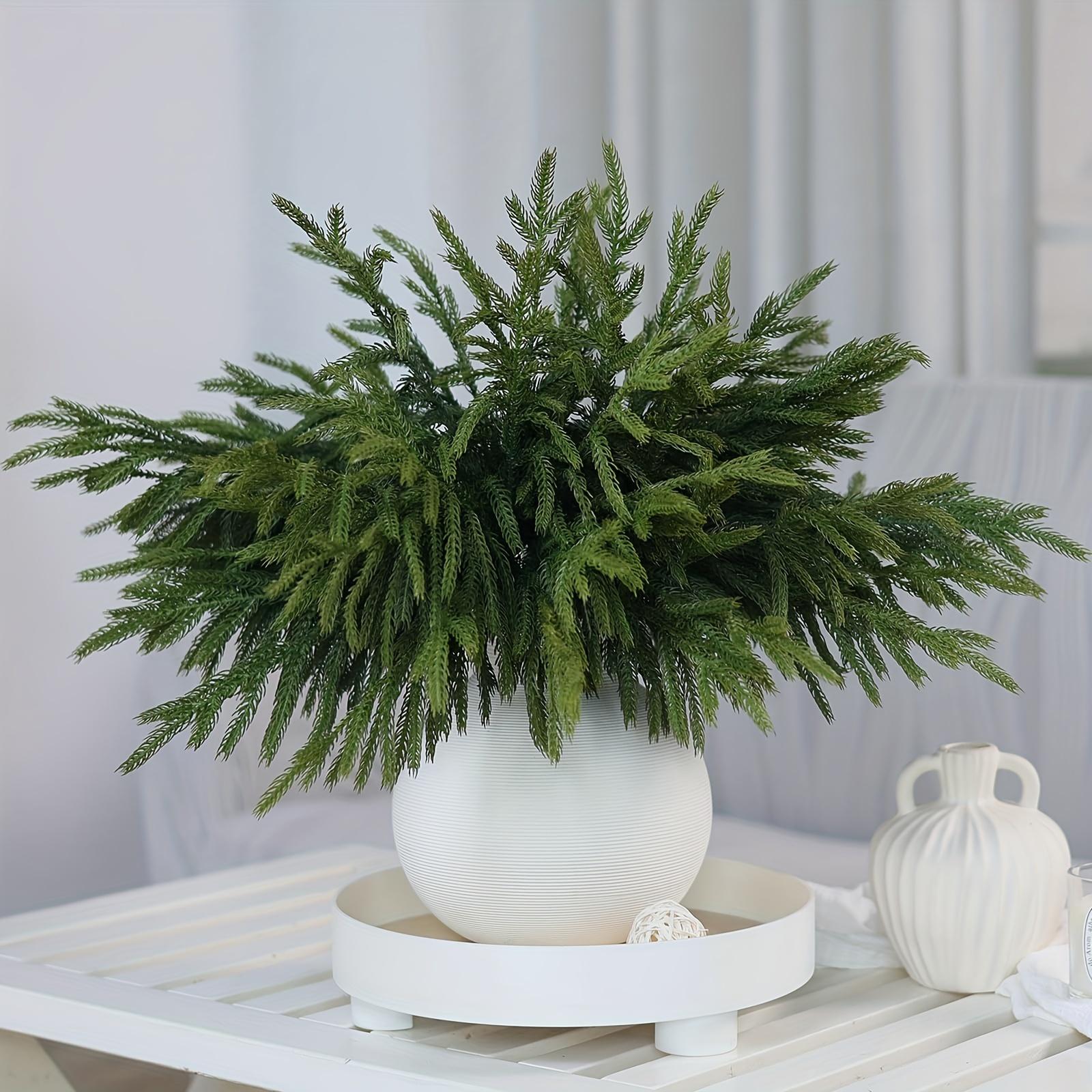 5pcs Real Touch Norfolk Pine Branches - 18 Faux Cedar Stems for DIY Crafts, Garland, Wreath & Home Decor 5pcs
5pcs Real Touch Norfolk Pine Branches - 18 Faux Cedar Stems for DIY Crafts, Garland, Wreath & Home Decor 5pcs