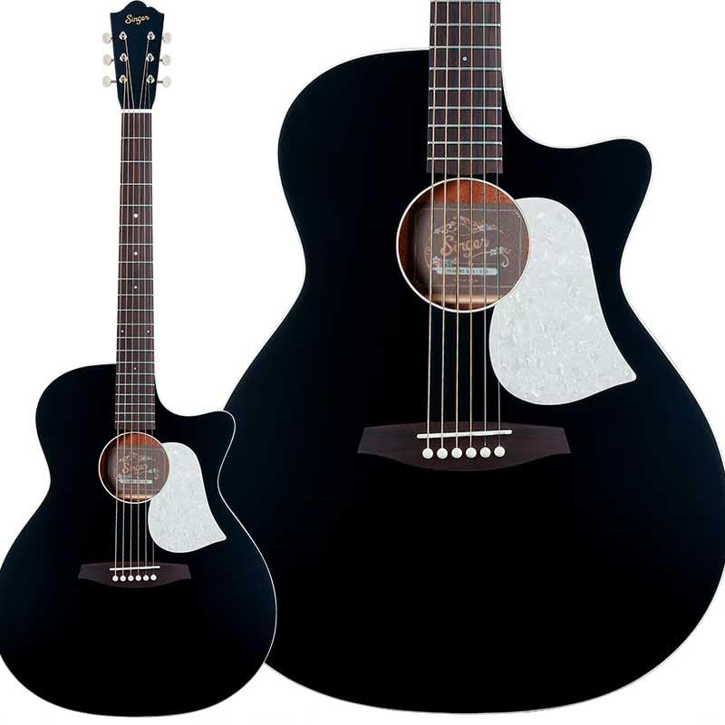aNueNue GA01 Black Acoustic Guitar Top Single Plate Grand Auditorium Case Included (Black)
aNueNue GA01 Black Acoustic Guitar Top Single Plate Grand Auditorium Case Included (Black)