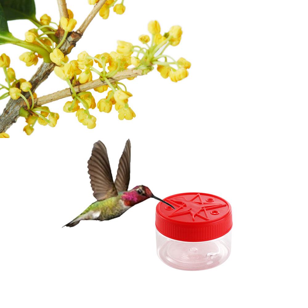 Red Handheld Window Bird Feeders Hummingbird Feeders Hummingbird Food Holder Pigeon Food Container
Red Handheld Window Bird Feeders Hummingbird Feeders Hummingbird Food Holder Pigeon Food Container